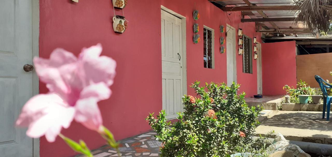 Guest House Nena Moyogalpa Luaran gambar