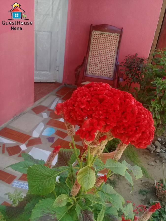 Guest House Nena Moyogalpa Luaran gambar